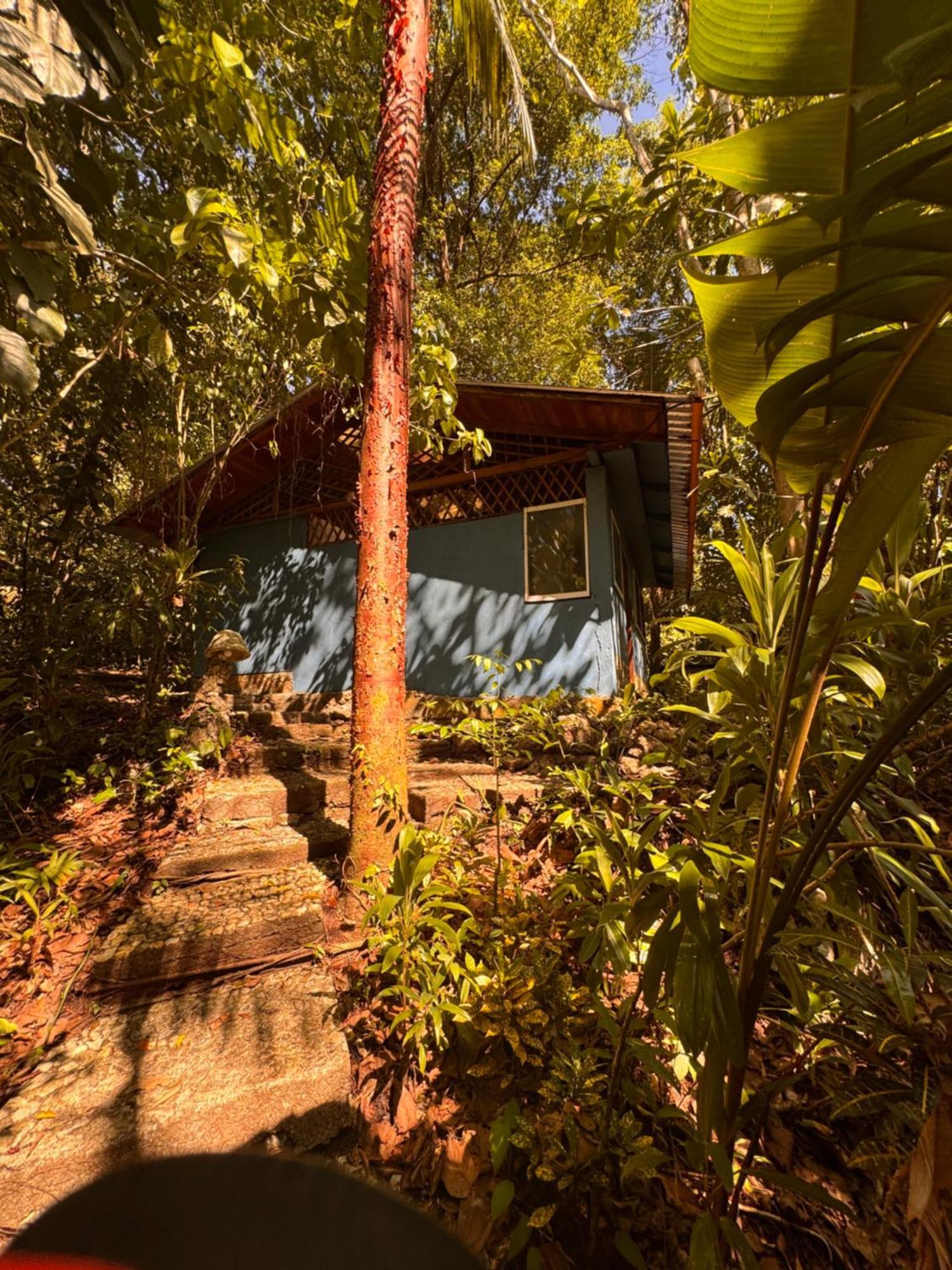 Finca Tatin Hotel Izabal ภายนอก รูปภาพ