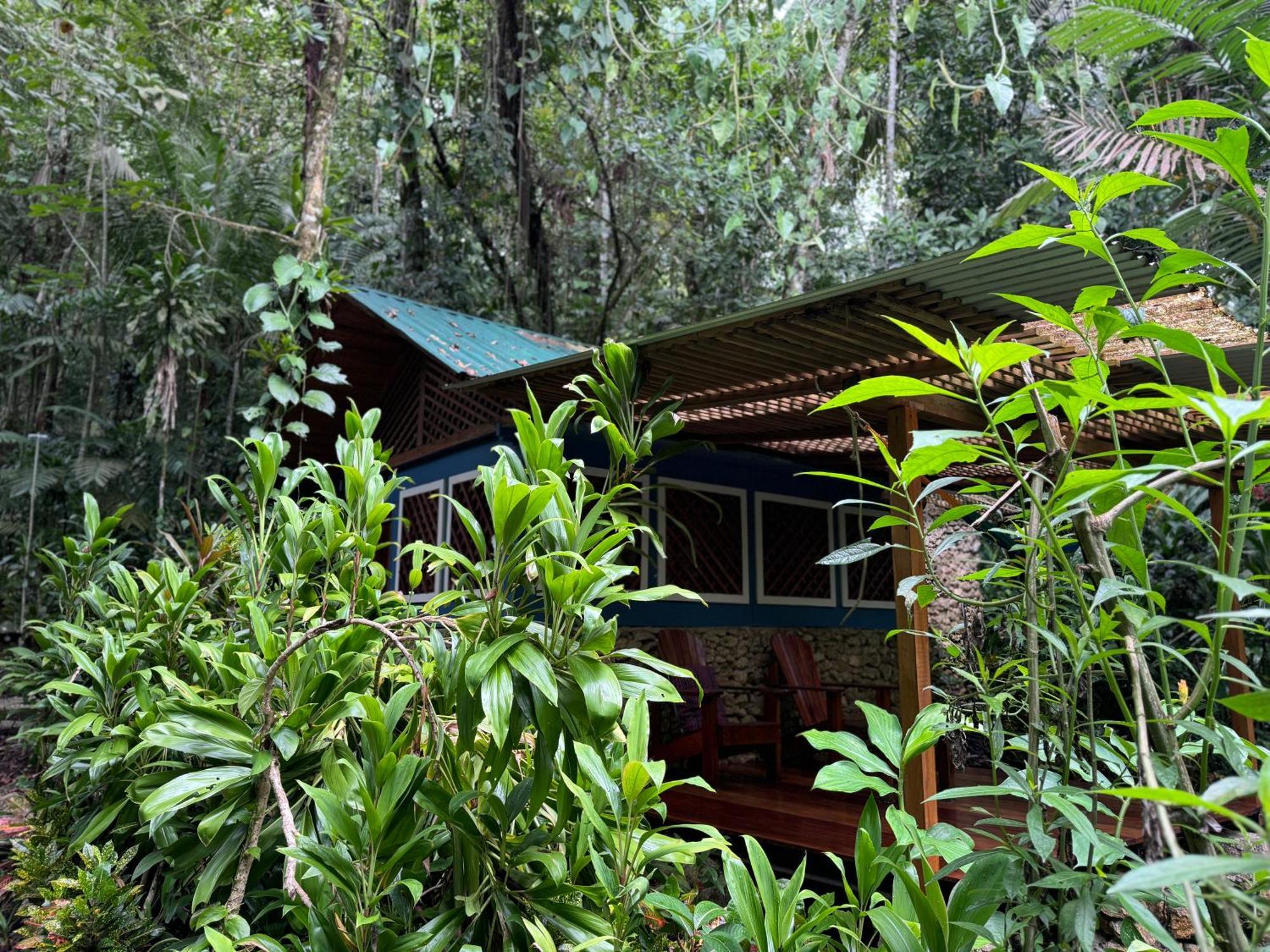 Finca Tatin Hotel Izabal ภายนอก รูปภาพ